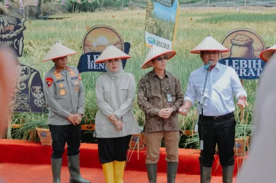 Wujudkan Swasembada Pangan, Kartika Sandra Desi Salurkan 142 Ton Benih Padi untuk Petani Sumsel