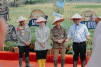 Wujudkan Swasembada Pangan, Kartika Sandra Desi Salurkan 142 Ton Benih Padi untuk Petani Sumsel