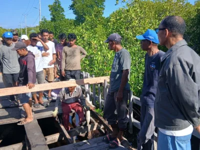 Legislator Gerindra Bantu Warga Perbaiki Jembatan Rusak di Maluku