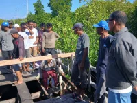 Legislator Gerindra Bantu Warga Perbaiki Jembatan Rusak di Maluku